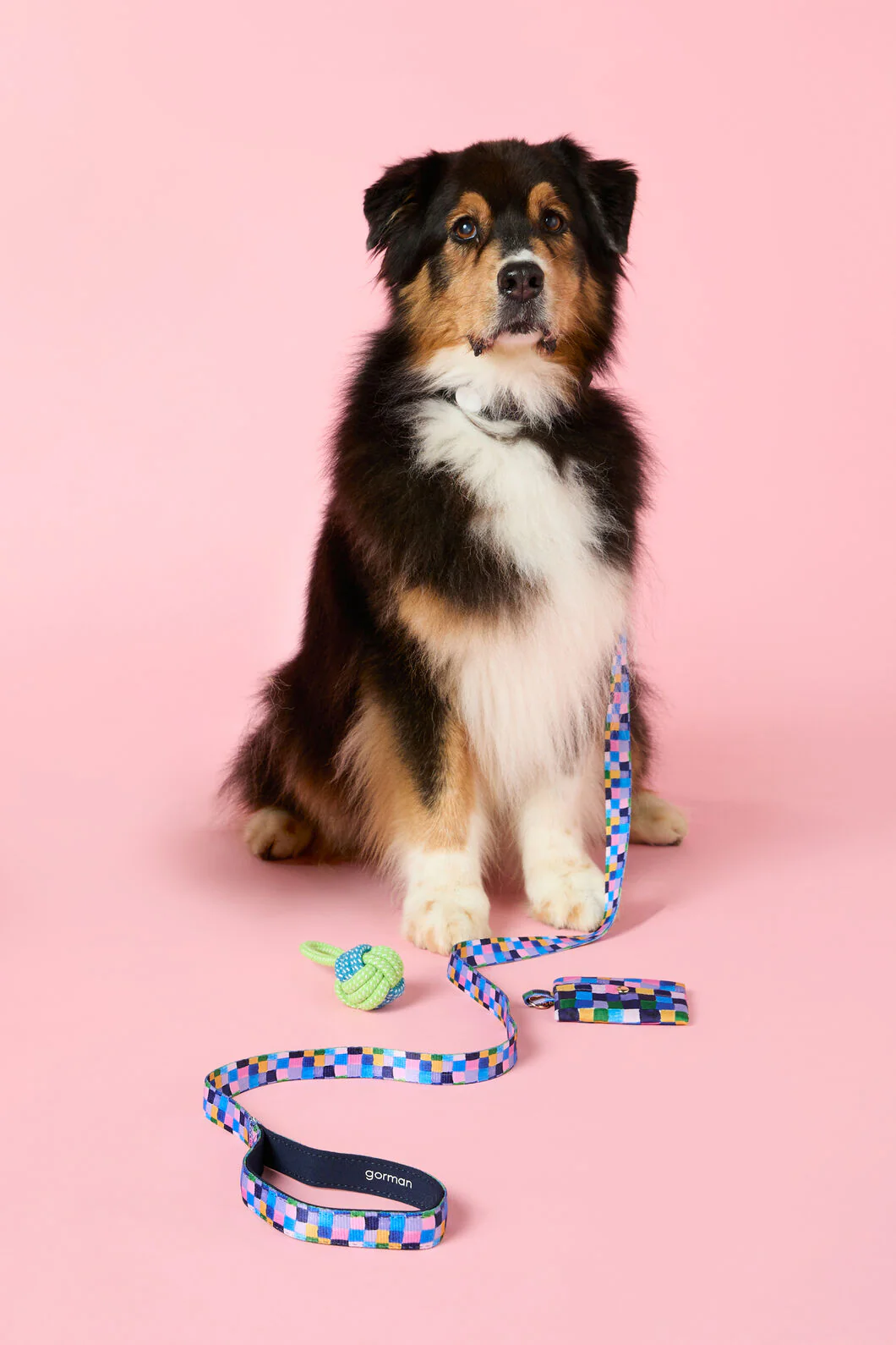 Checkers Pet Gift Set