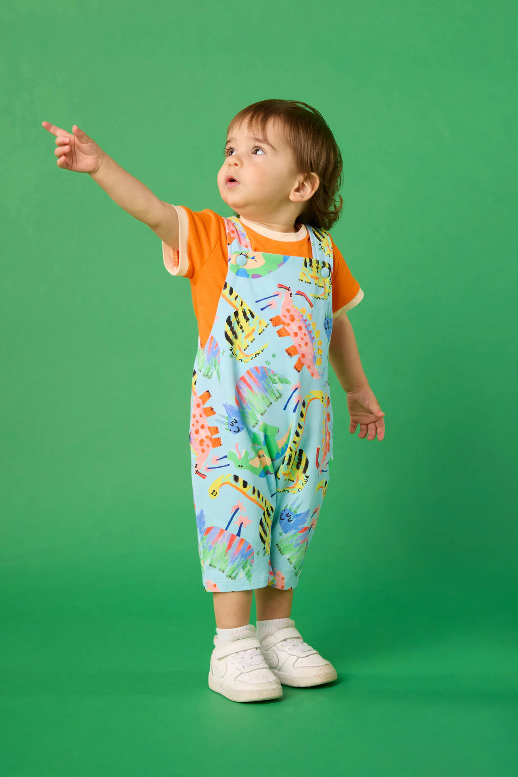 Dino Land Baby Overalls