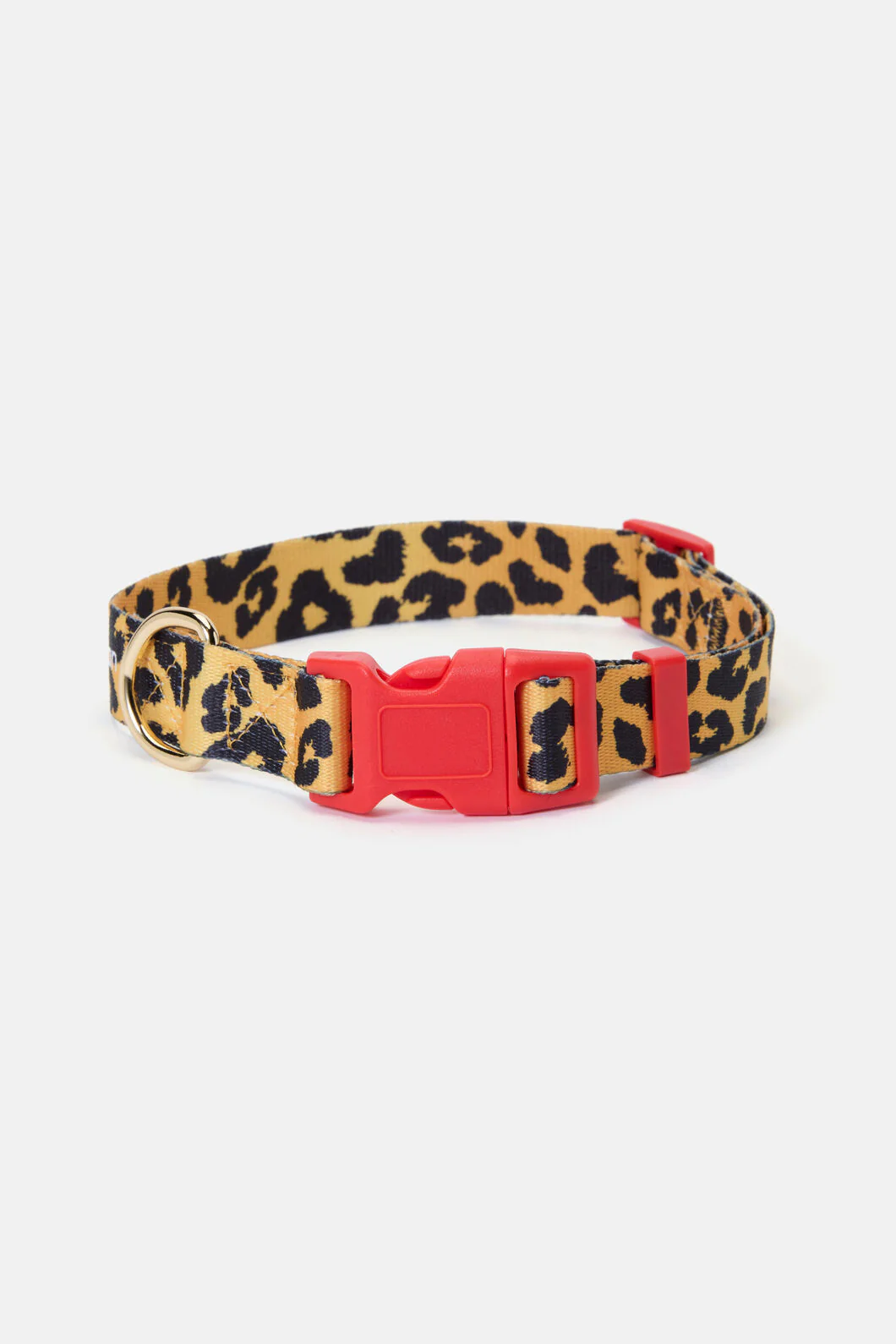 Leopard Dog Collar Lge