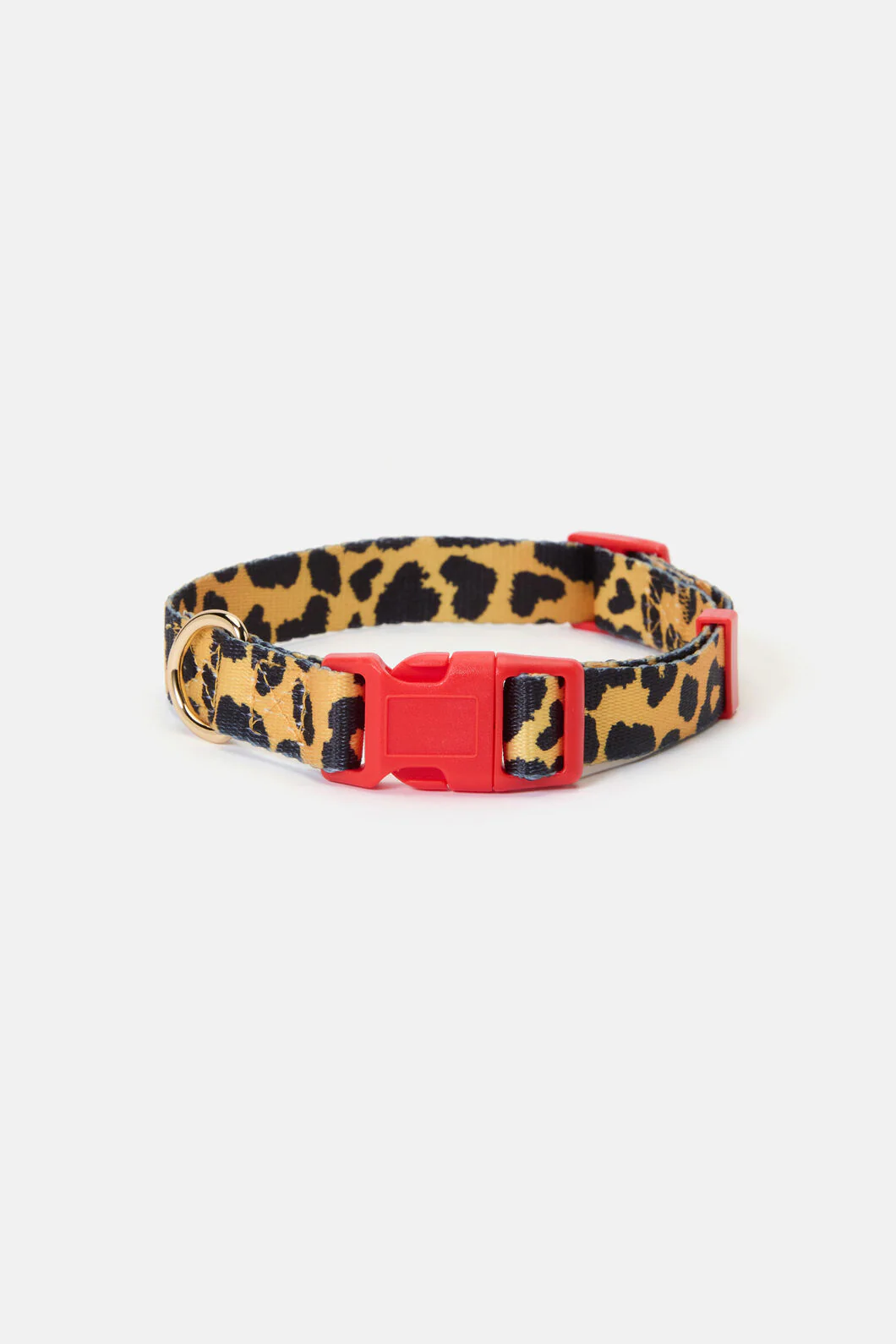 Leopard Dog Collar Sml