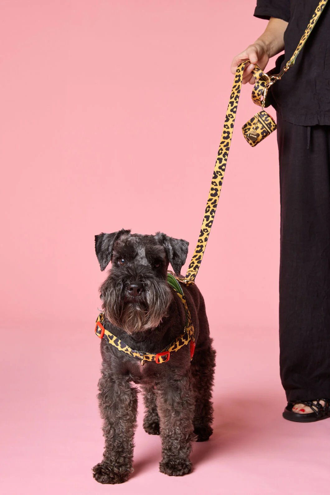 Leopard Hands-Free Dog Leash