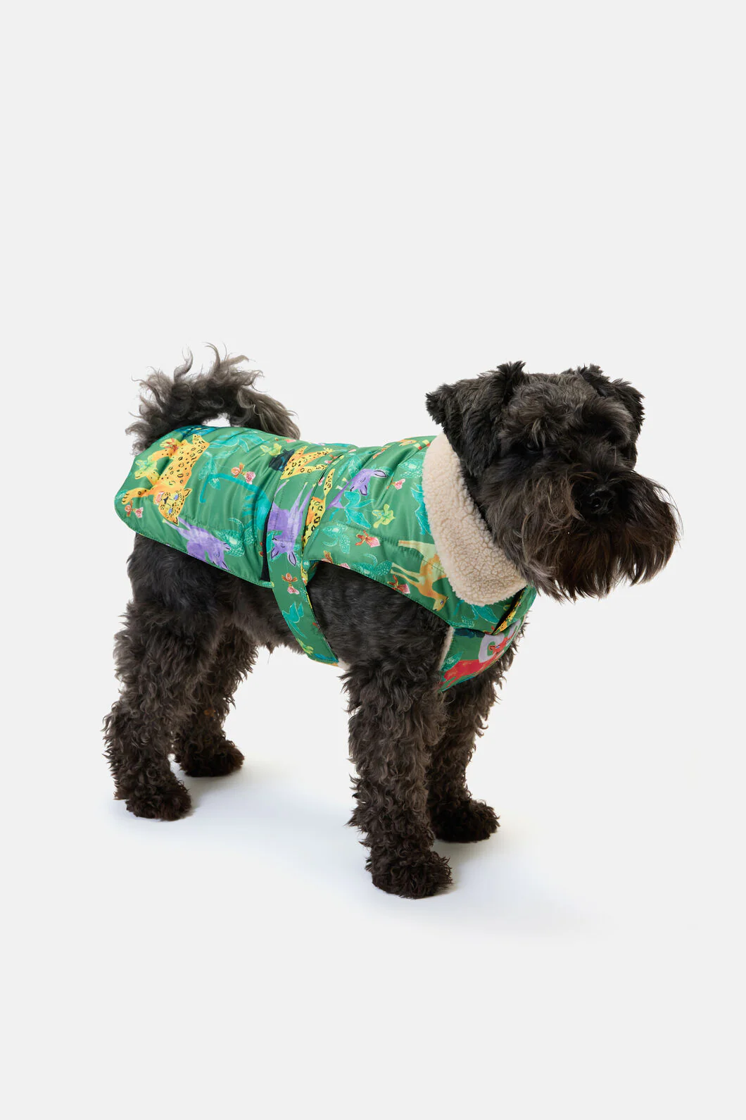 Orchid Safari Dog Puffer Coat - Image 2