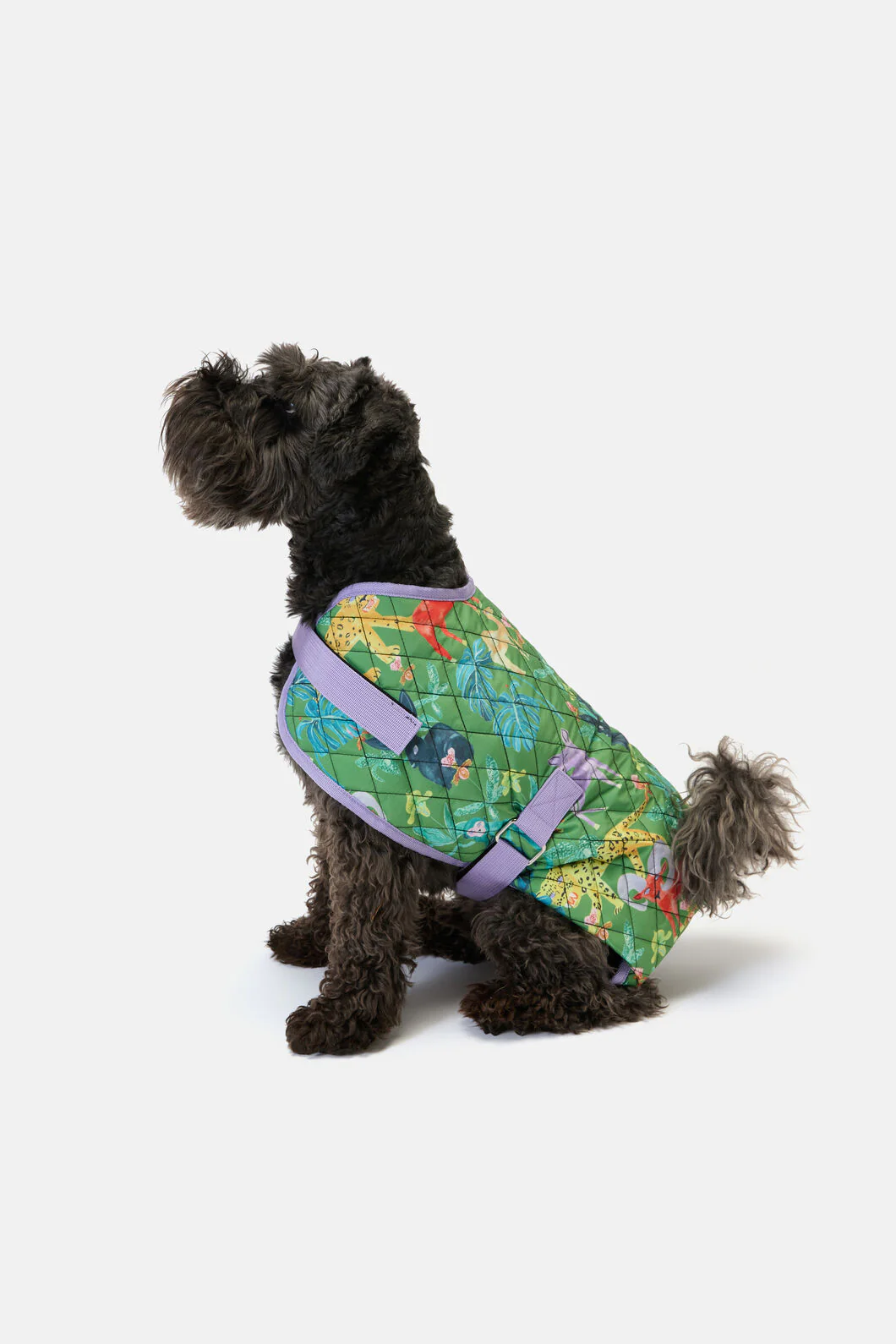 Orchid Safari Quilted Dog Coat