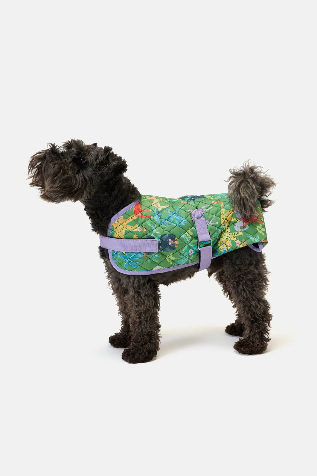 Orchid Safari Quilted Dog Coat - Image 2