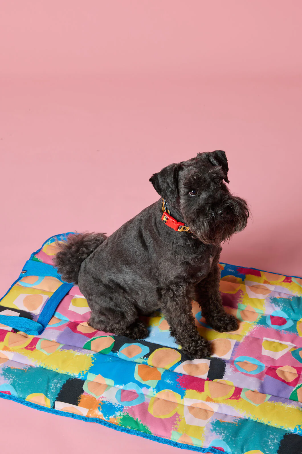 Peach Eclipse Pet Travel Mat