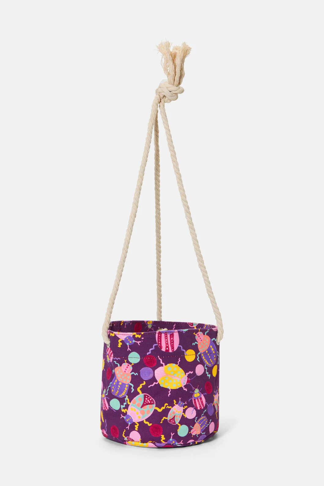 Plum Beetle Hanging Planter Small