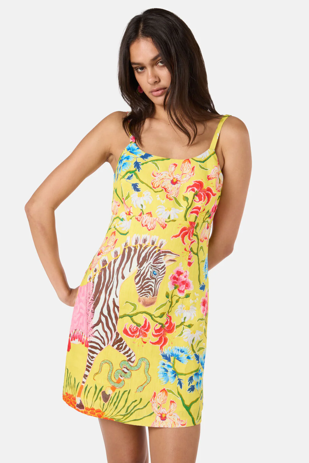 Zebra Crossing Mini Dress - Image 3
